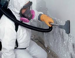 Best Biohazard Mold Removal  in Cool Valley, MO